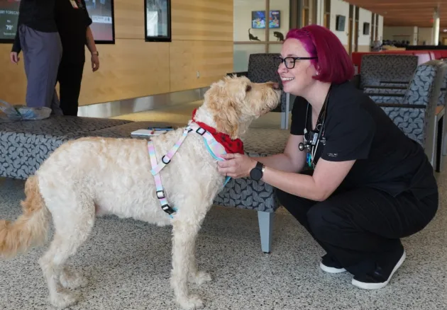 marley the dog sniffing a registered veterinary technician in the veterinary medical center